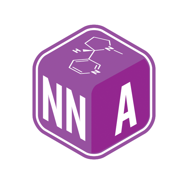 NN Analytics logo